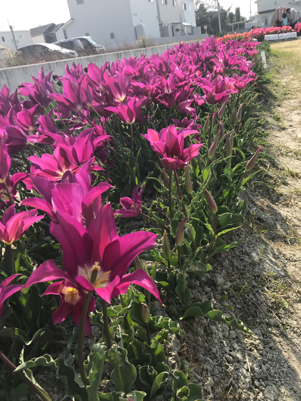 第二回 こんなアルバイトしてました！（パチンコ屋&病院）