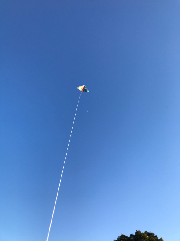 第六回 アメリカの空は青かった