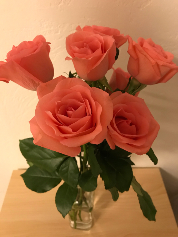 第八回 ママ友いりません！