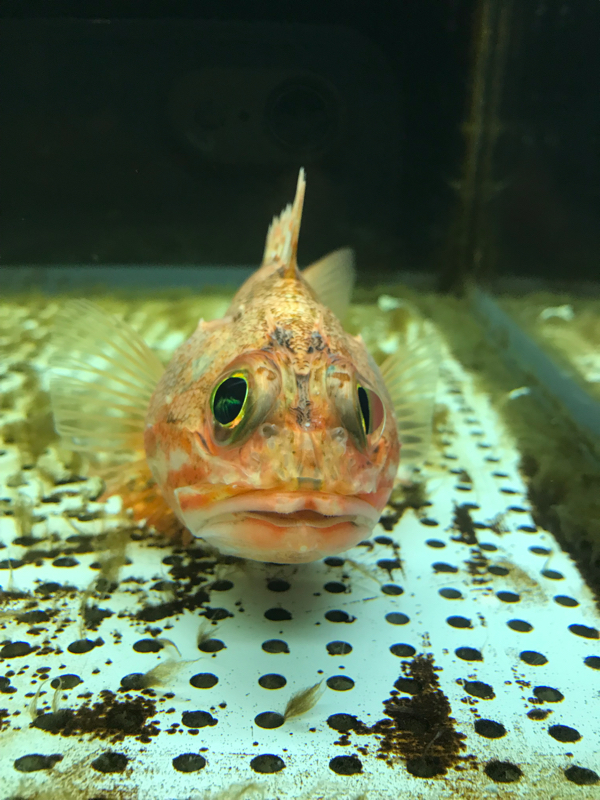 第十回 漫画にツッコミを入れよう！！