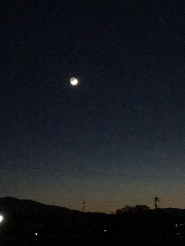 第十三回 オタクの芝生は黒かった！！