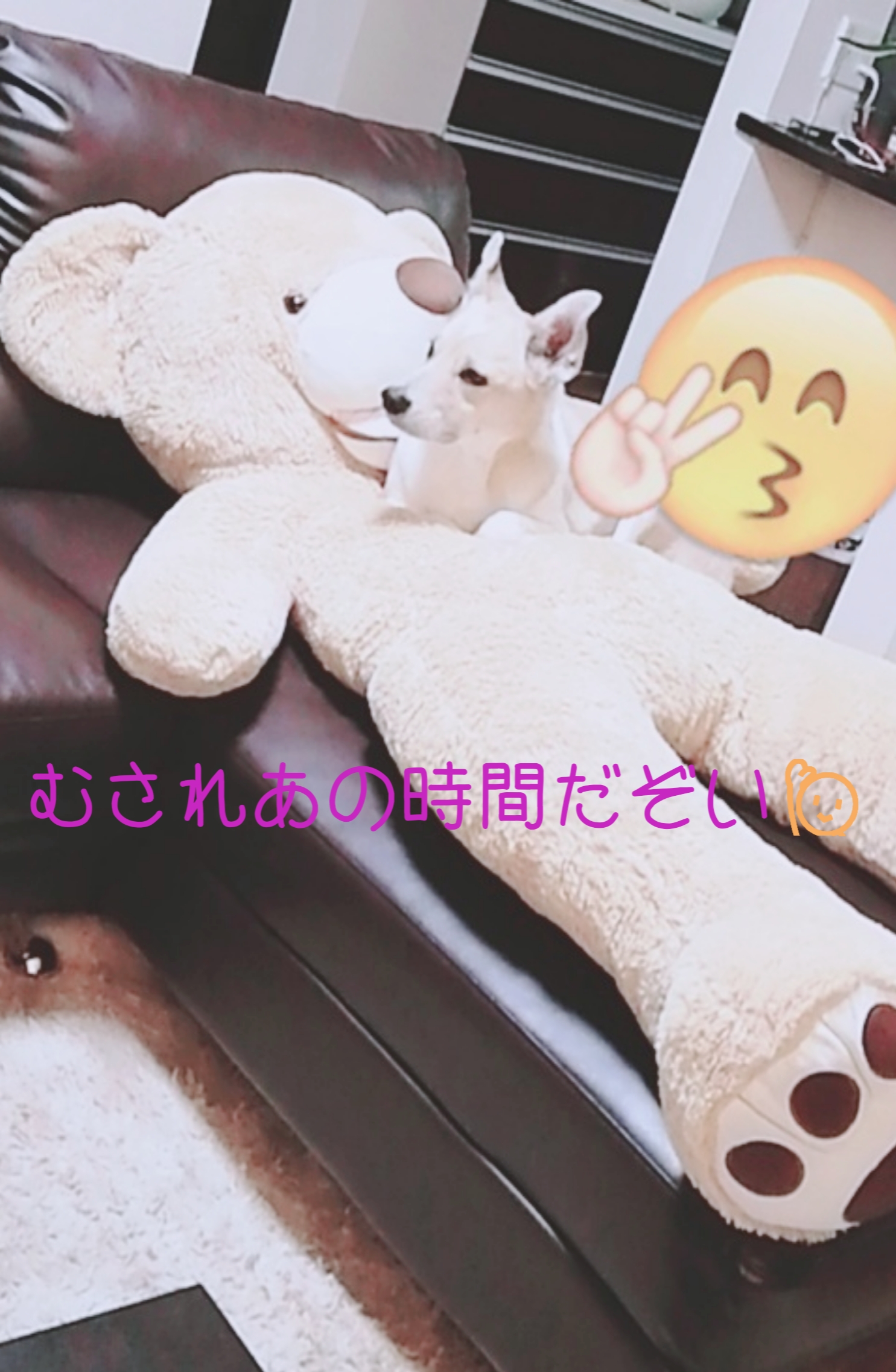 むされあに決定？？