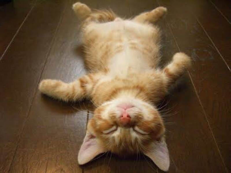 なんてことない日常〜満員電車編〜