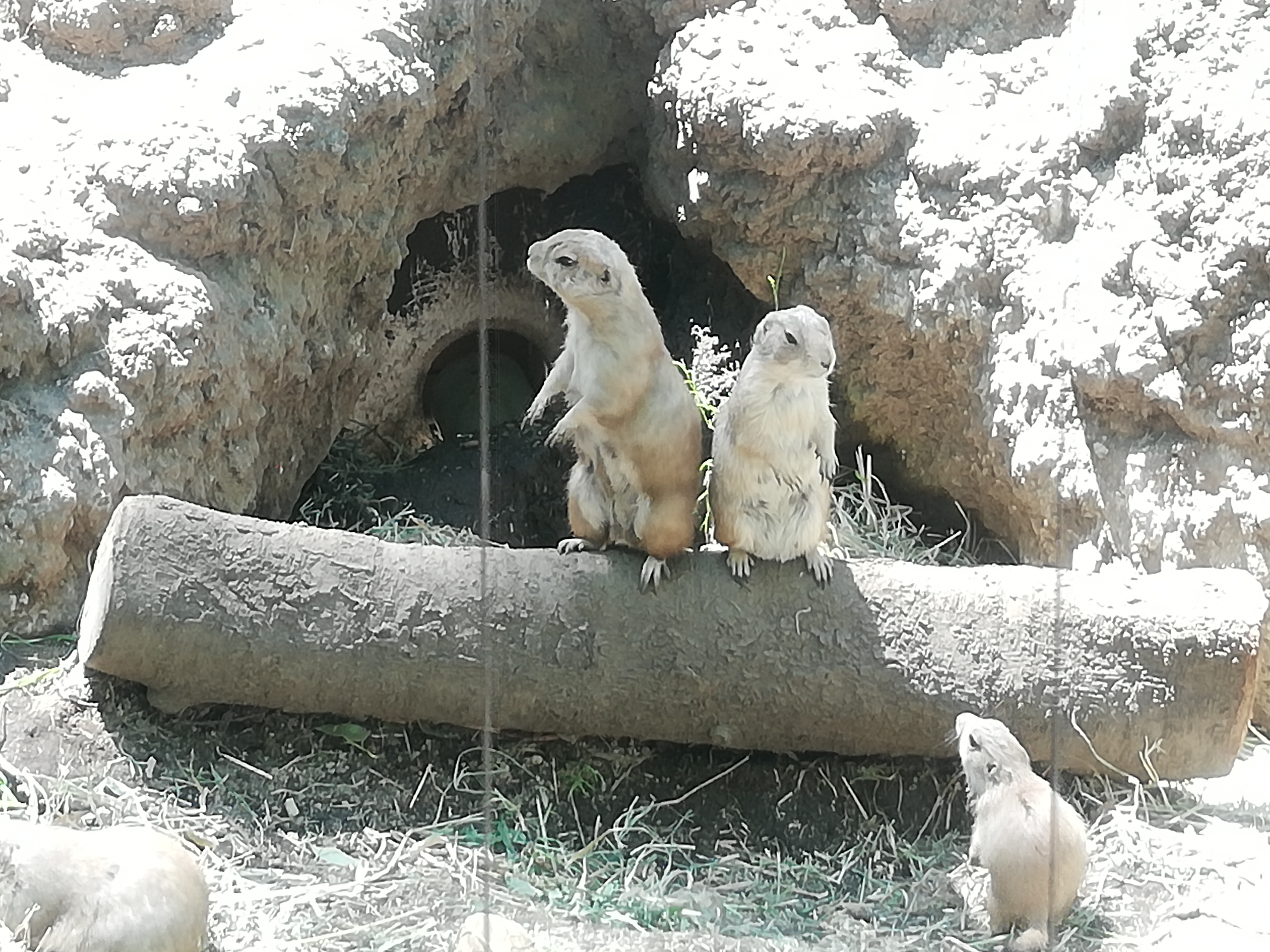 #1 自己紹介＆平成の思い出