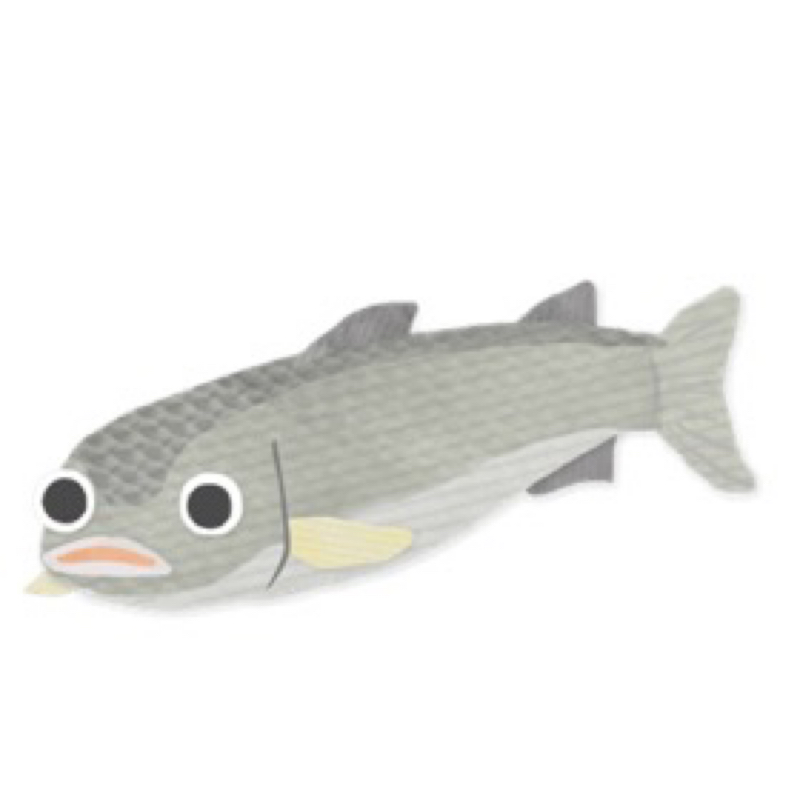 住之江の太陽🐟ボラ太郎爆誕‼️