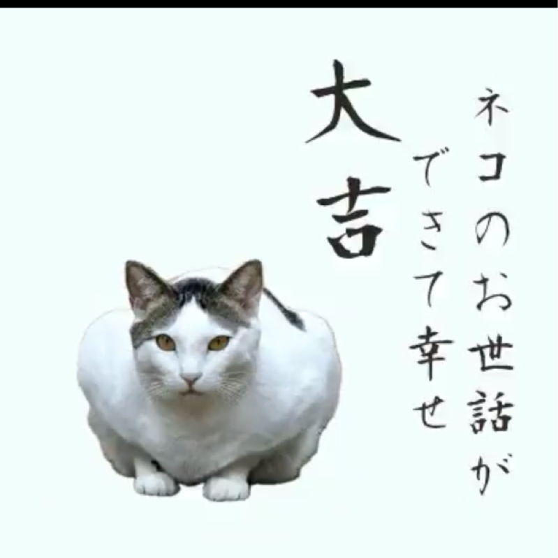 🌸桜花爛漫Radio🌸さくら日記🌸