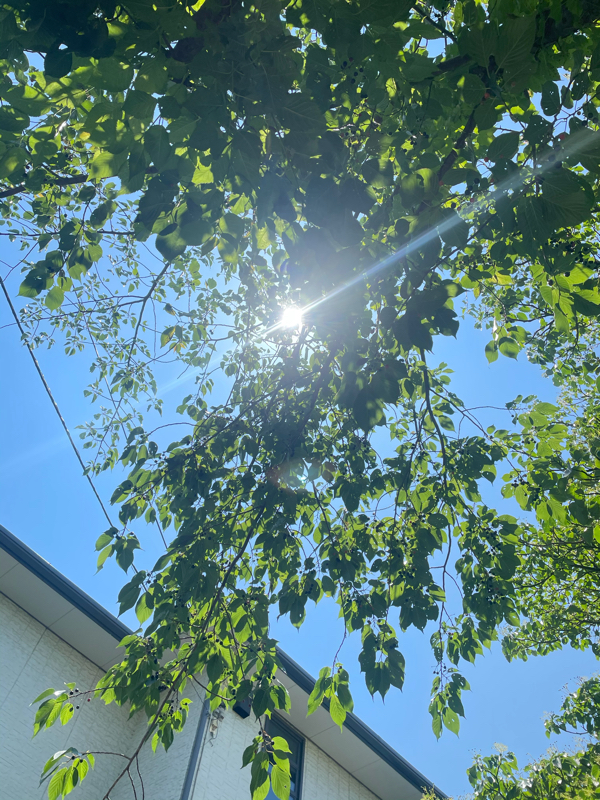 壱:なんと初回扱いでご無沙汰という