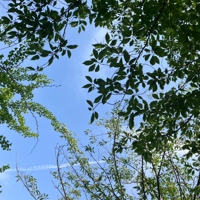 #1 目的を見なおしてみる