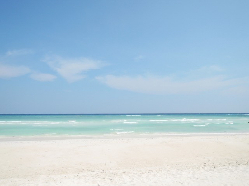 #4 元気ですか🍉