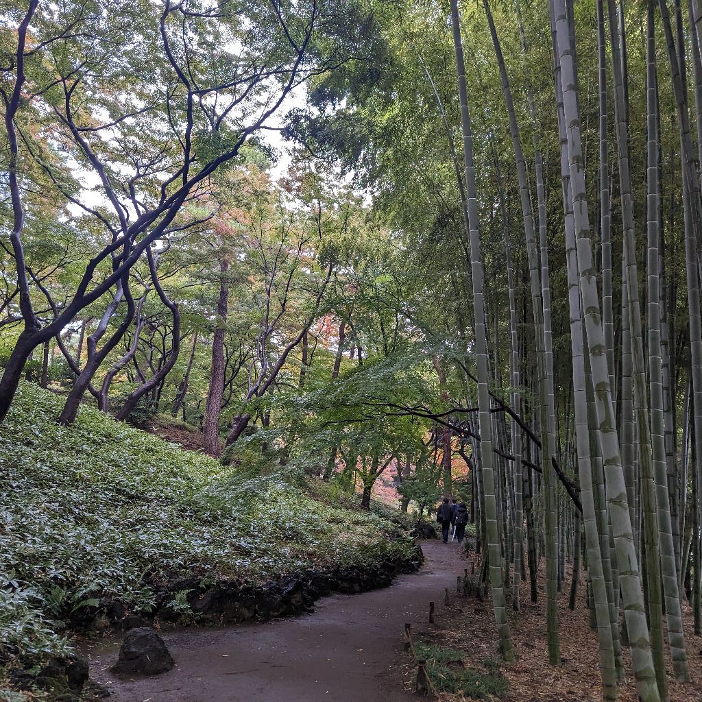 ただしんどいと言うだけ