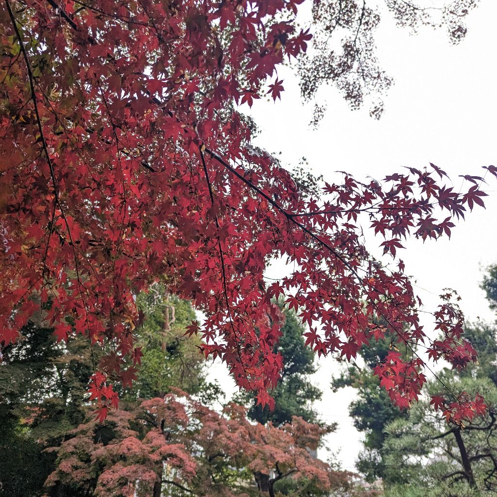 つらいつらい言うだけ、第二弾