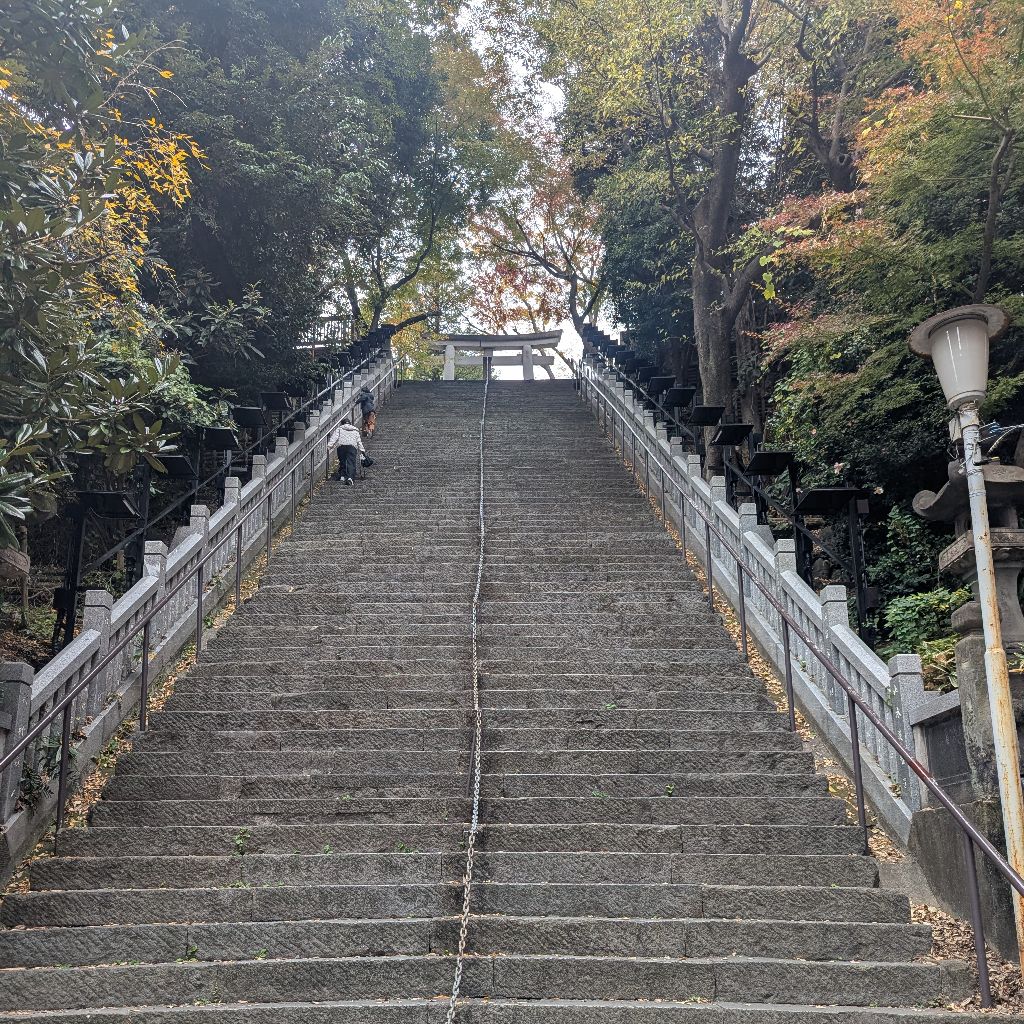 恋愛なくして生きれるのか、？？