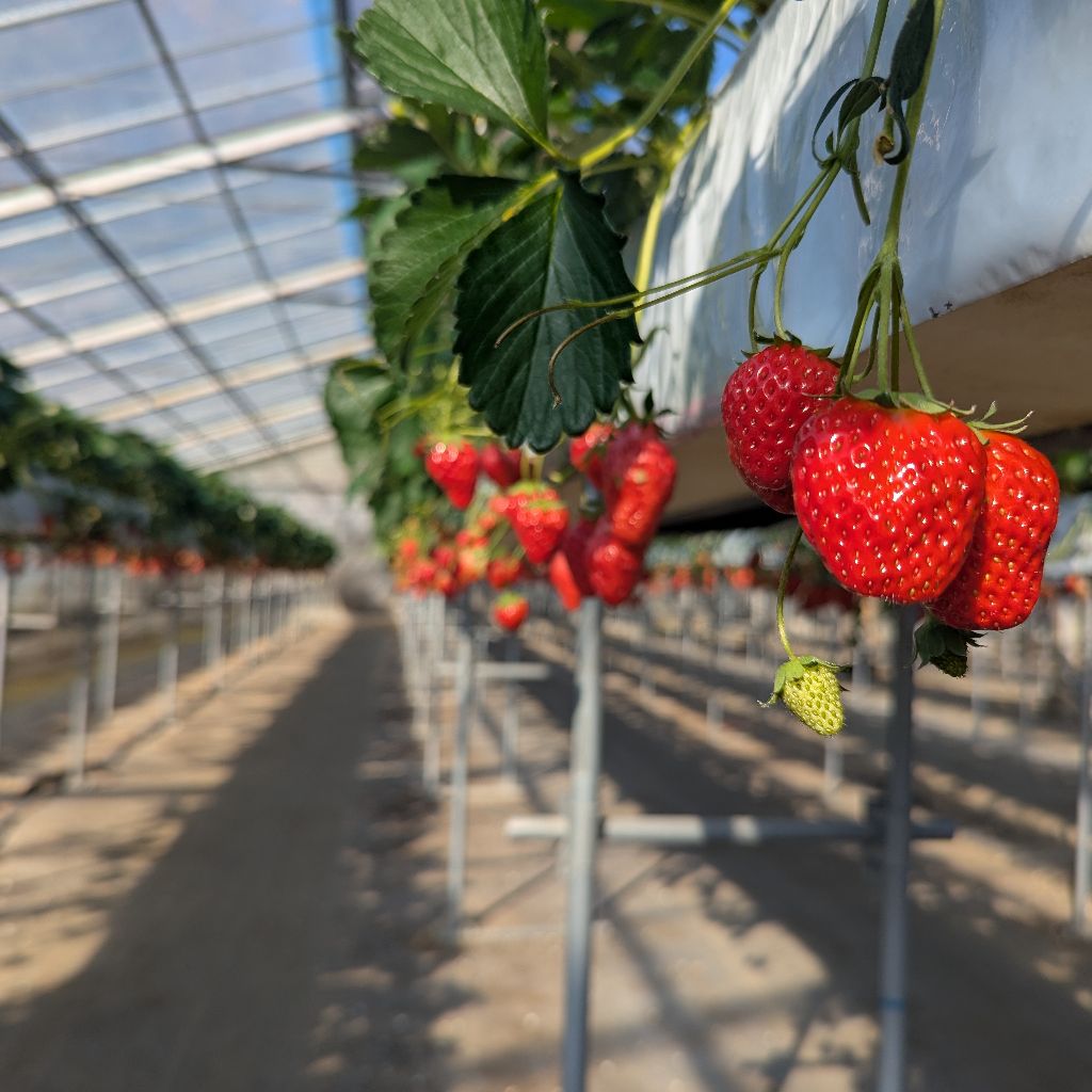 洗濯事件のノリで近況を語る