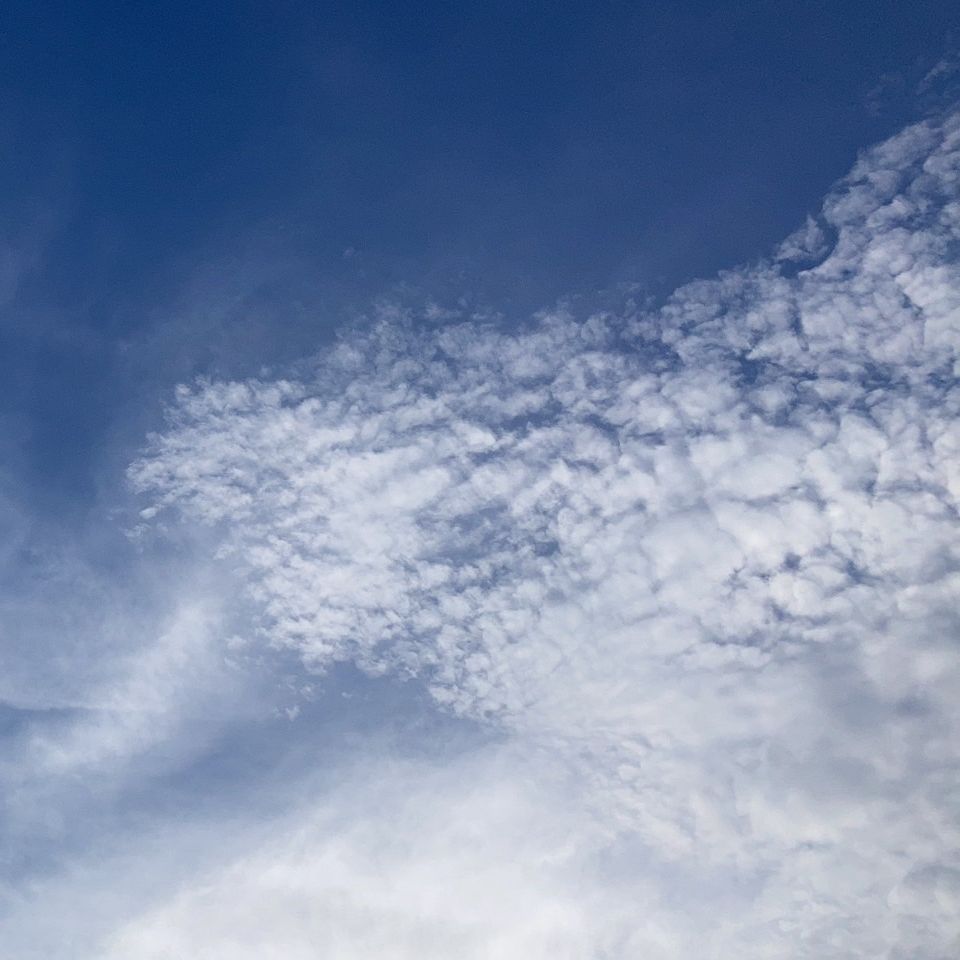 ネットスーパーのレジ袋