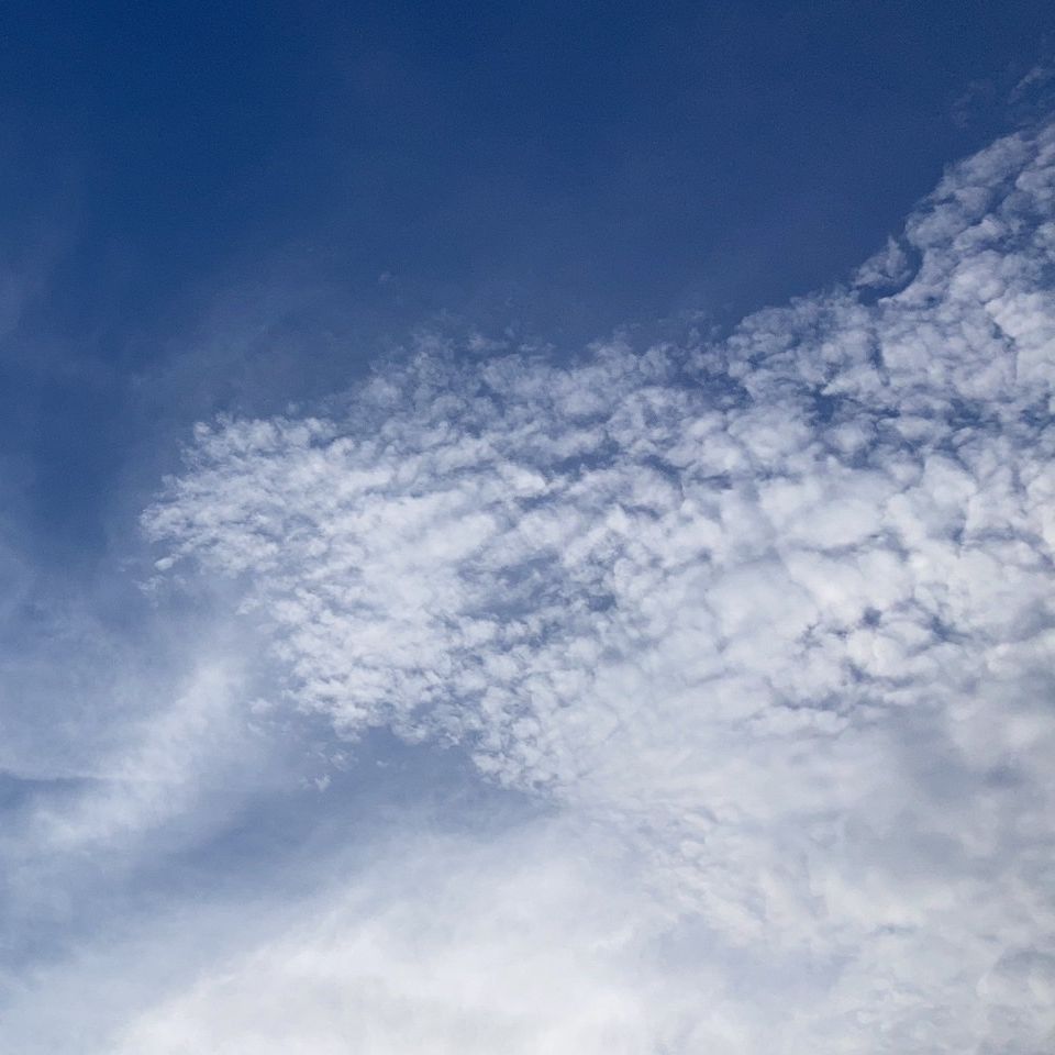 オンラインで、◯◯見学！？✨