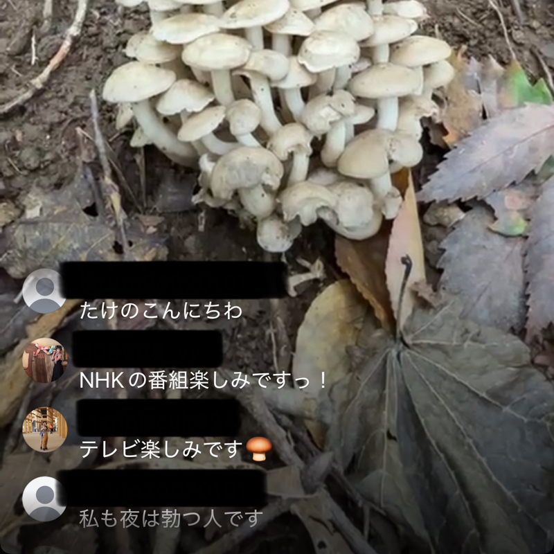 #113『坂井きのこ🍄&松原パパ👨🏻』