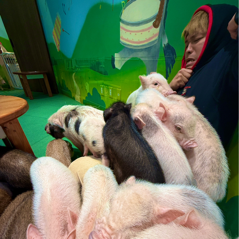 #156『豚カフェ🐖＆墨田のチャリ族🚲』