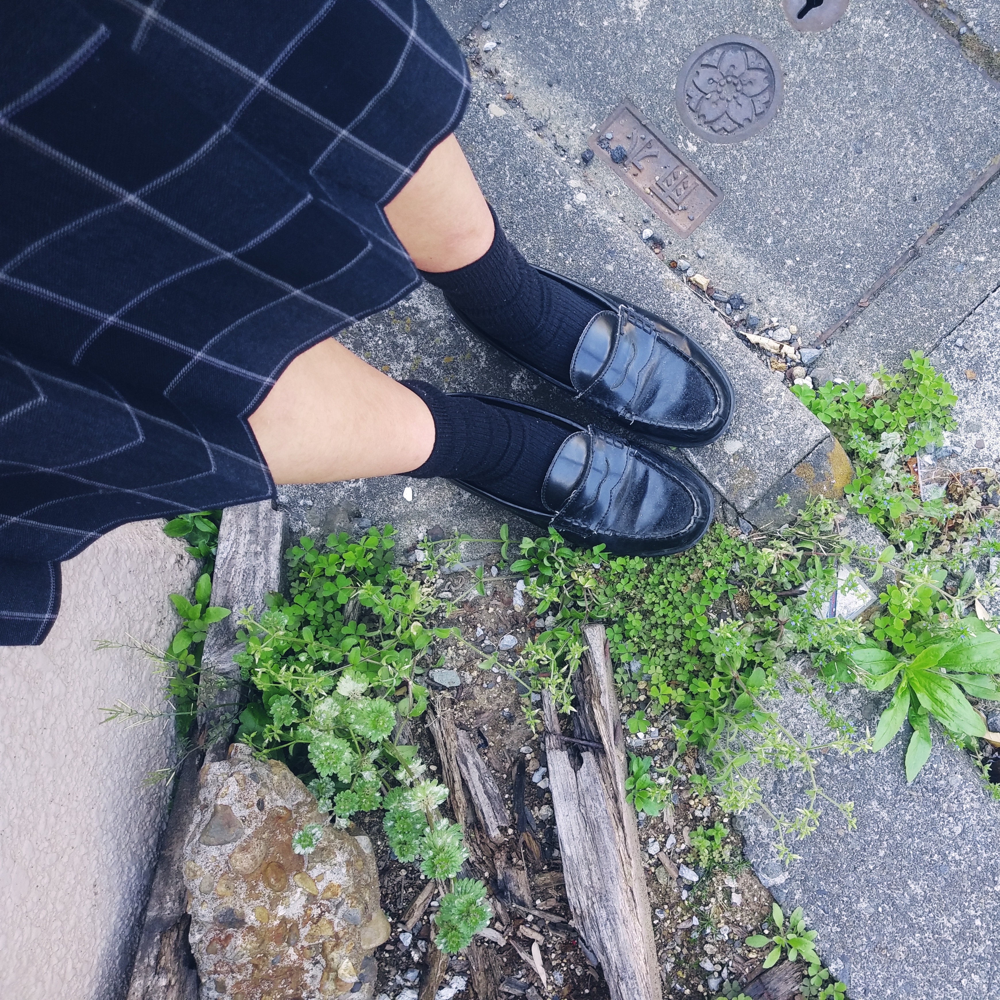 はるこのひとりごと