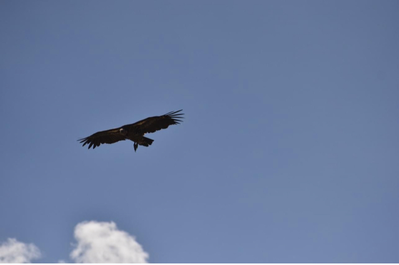 #240008 規制は強くなる　やるなら今すぐやろう