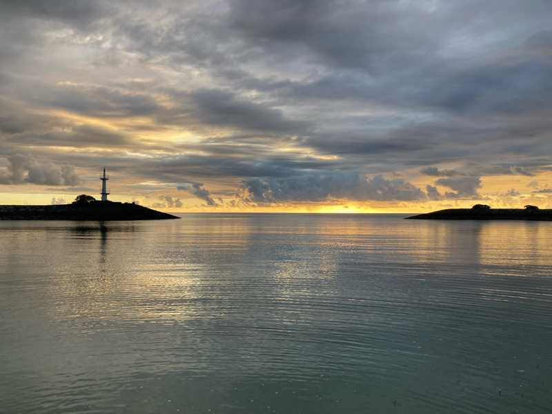 #240057 本当にブルーオーシャン？🌊