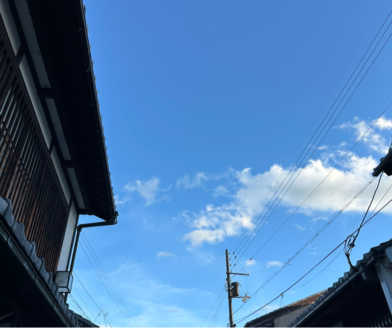 #250116 認知戦