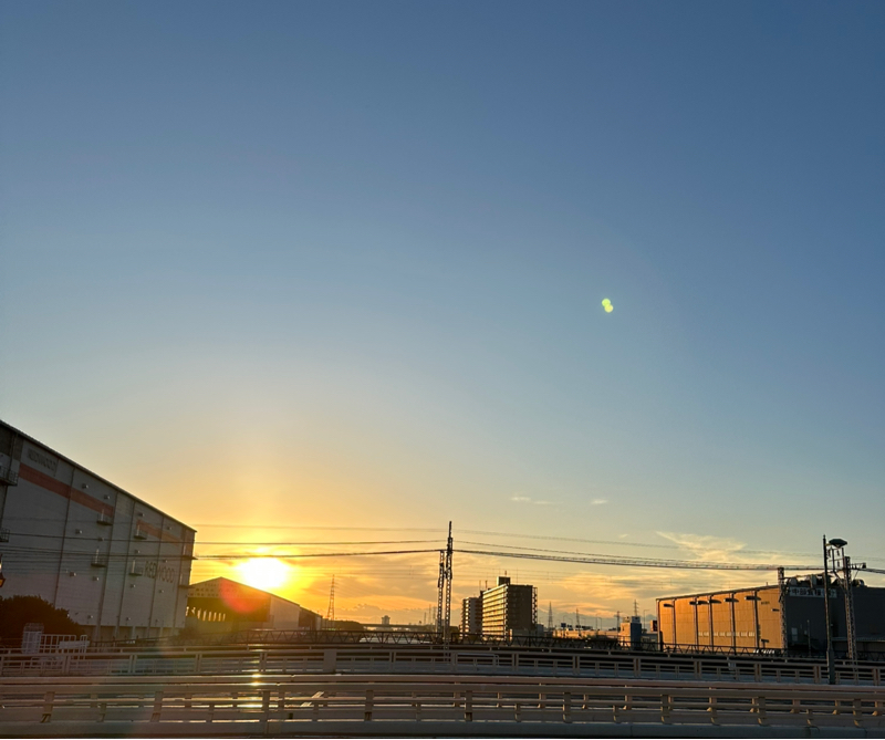 #250134 クマの話