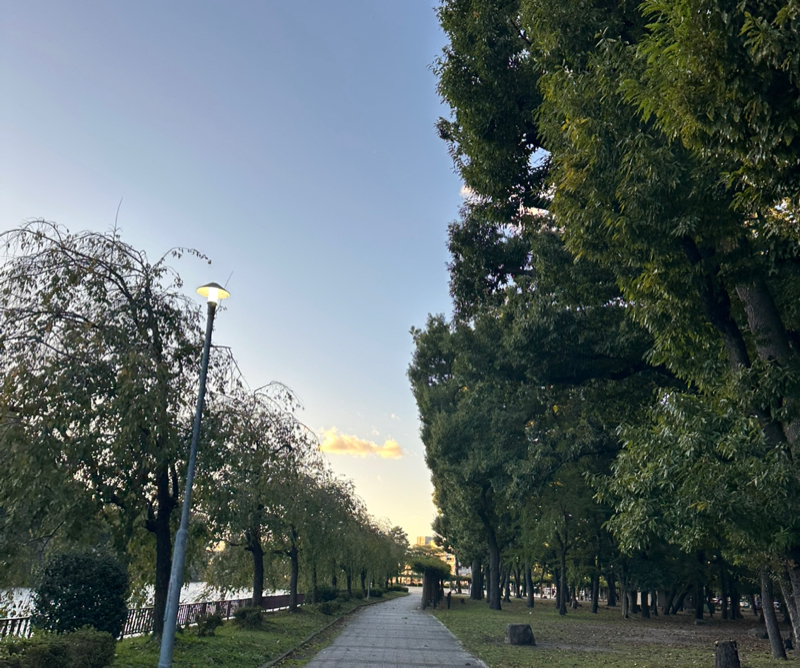 #250137 ルールをいかに破るか