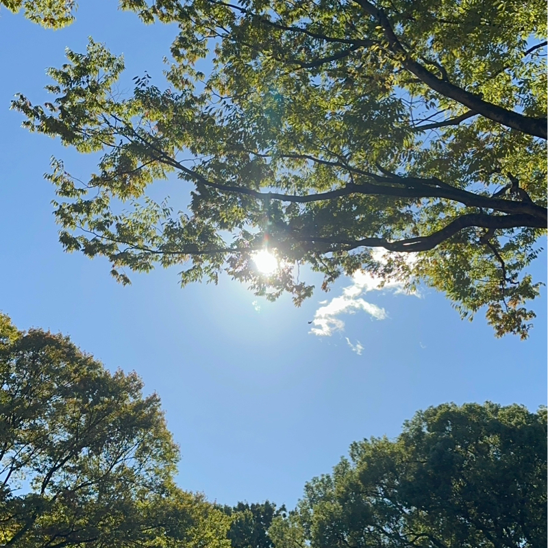 #250138 最近の近況と価値提供の順番の話