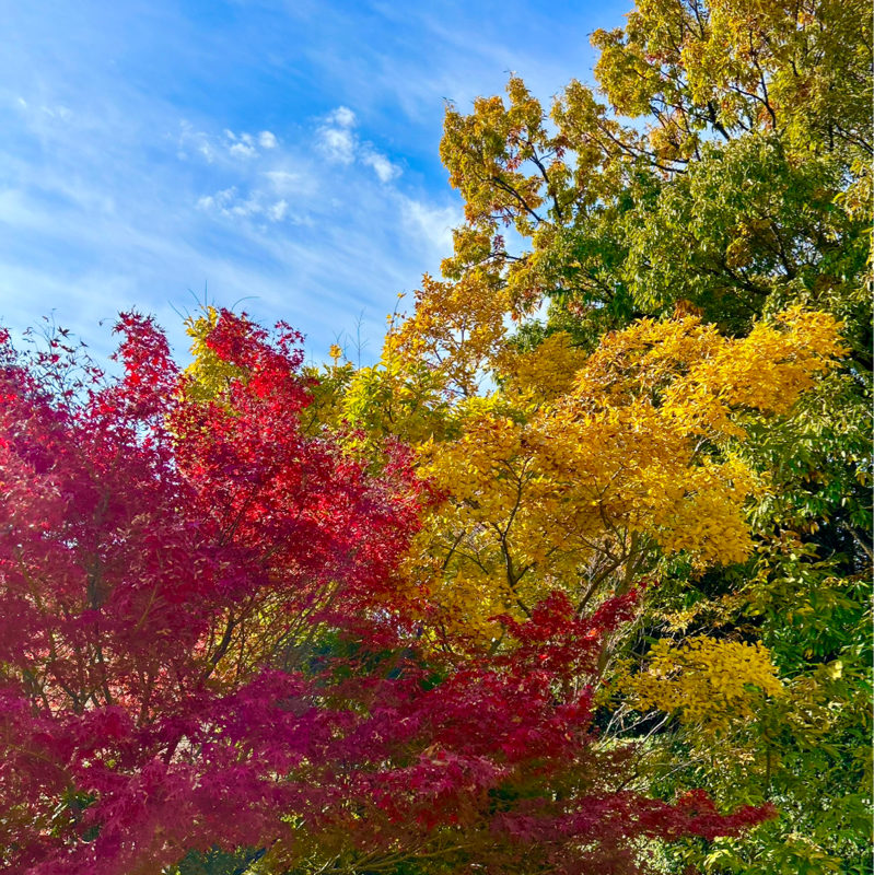 #250142 失われた30年のもう一つの顔