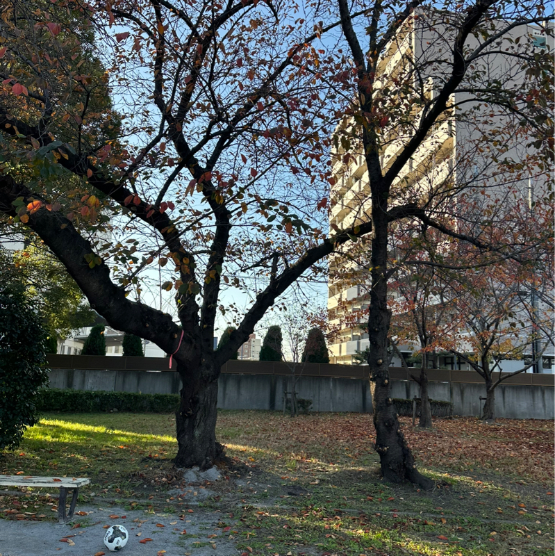 #250145 楽しいと思える時間で1日を埋め尽くせ