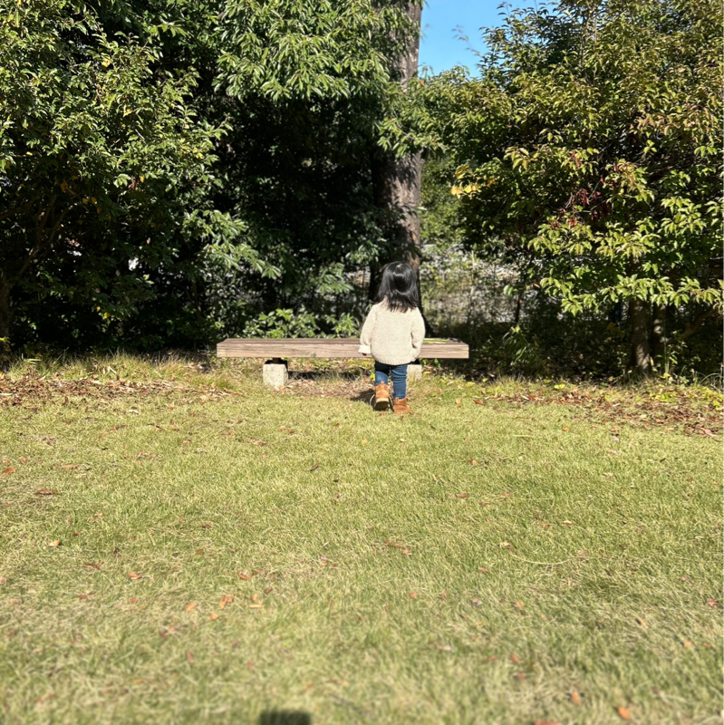 #250148 変化率を確認する(昼の仕事)