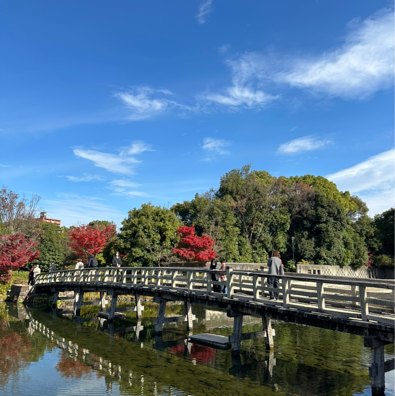 #250149 tiktoker とプラットフォームビジネス