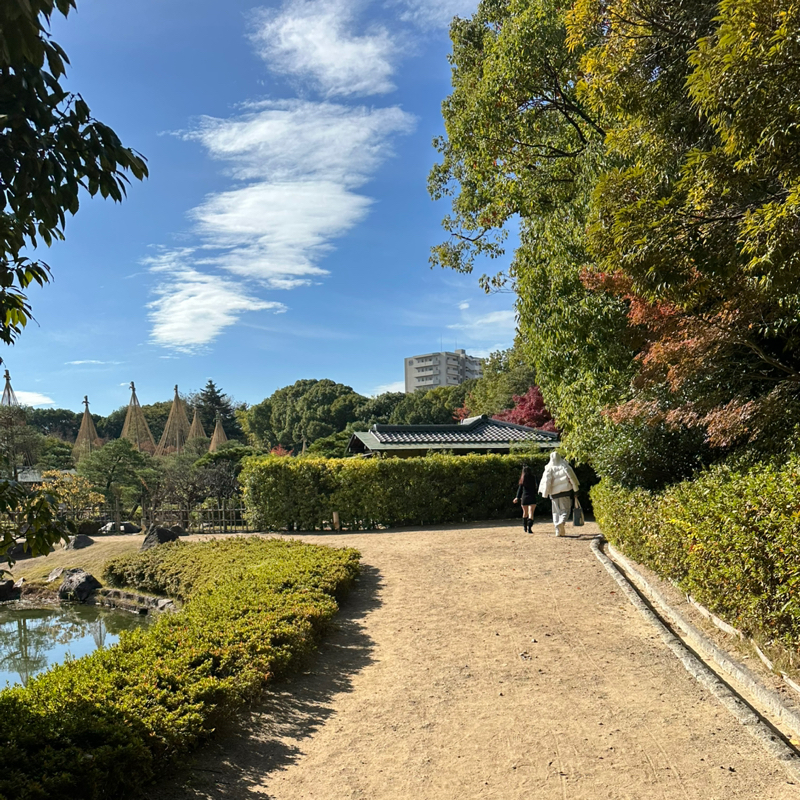 #250150 変化率を確認する(夜の仕事編)