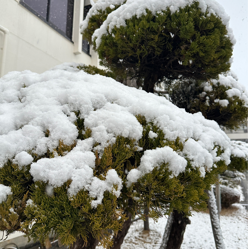 #26006 金縛りとの戦いが終わった時