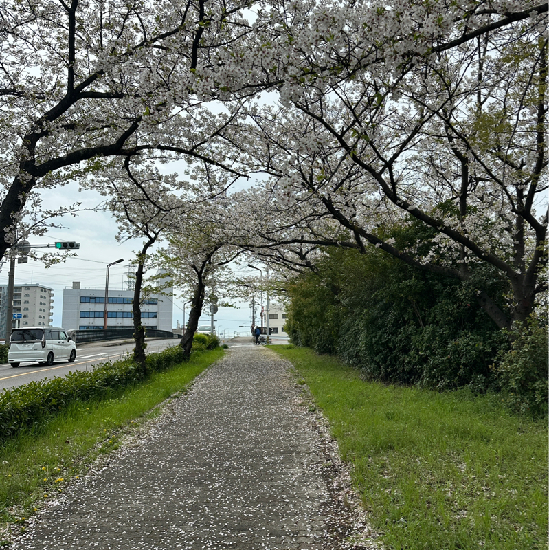 #260026 表の社会と裏の社会