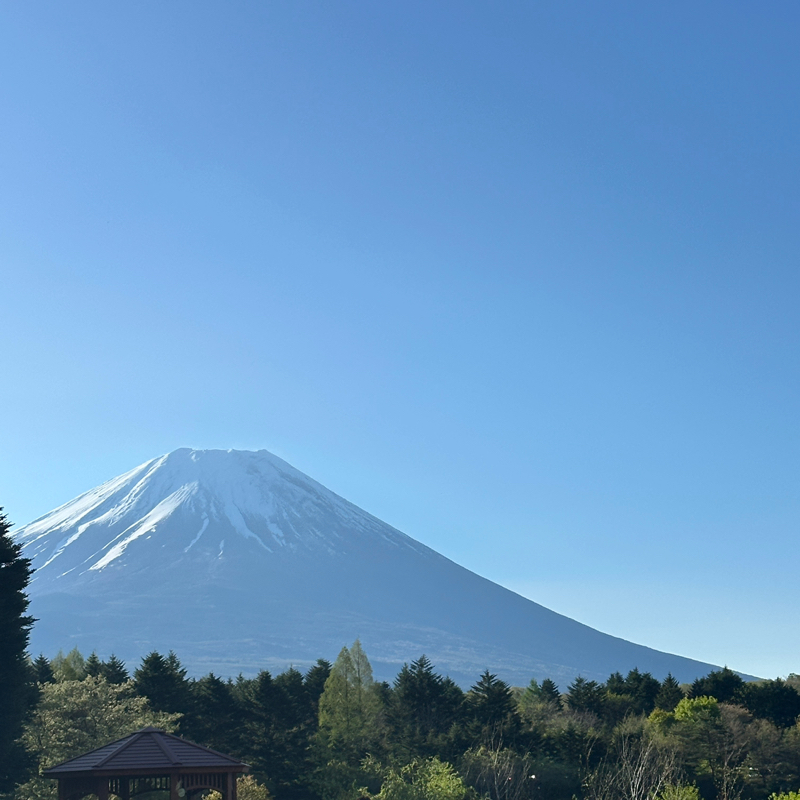 #260036 会えない人と会えましたか？