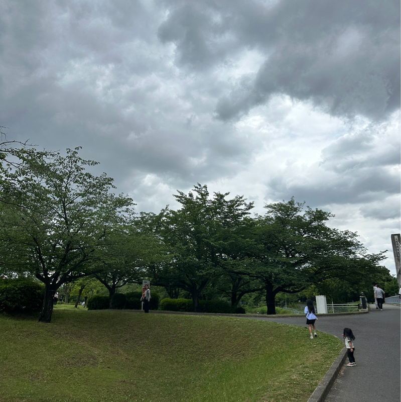 #260052 ボールを握り続ける勇気