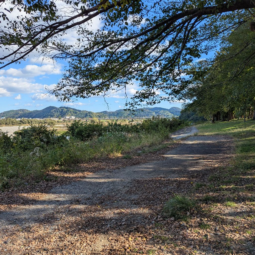 今日も生きてくるよ☆