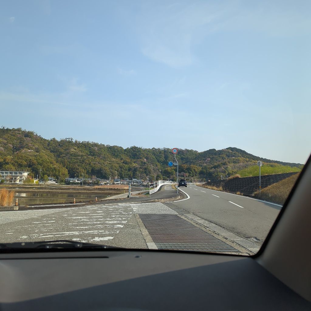 それでも生きていく