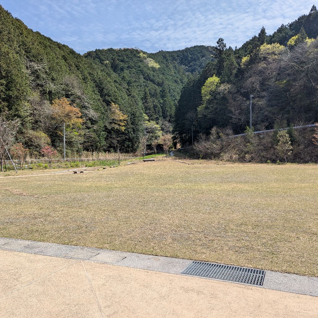 今日も生きてます💡