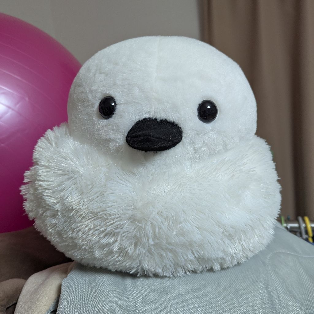 🐇🐰ひろぽん🫧ジ・アルファ☕