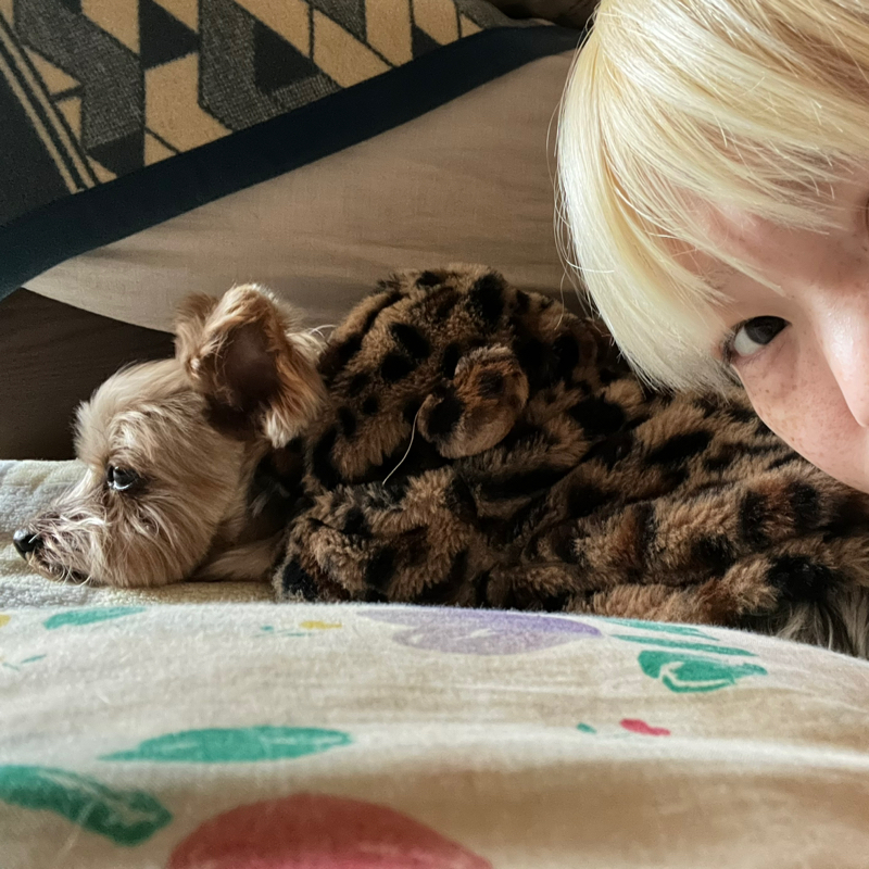 #58 洗濯物を畳みながら政治にキレる