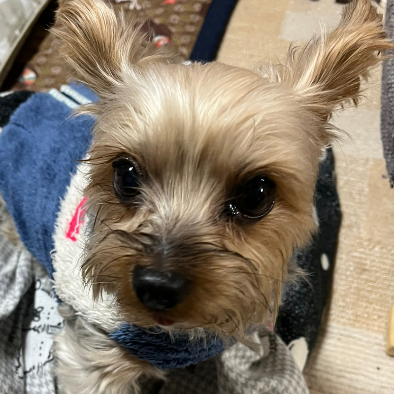 #60 長野からおたより