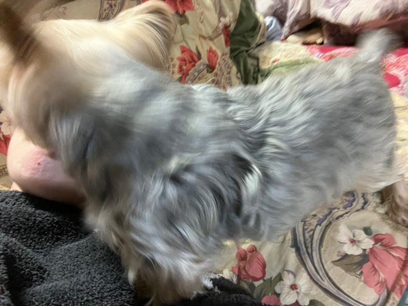 #72 雨の日は外出したくない