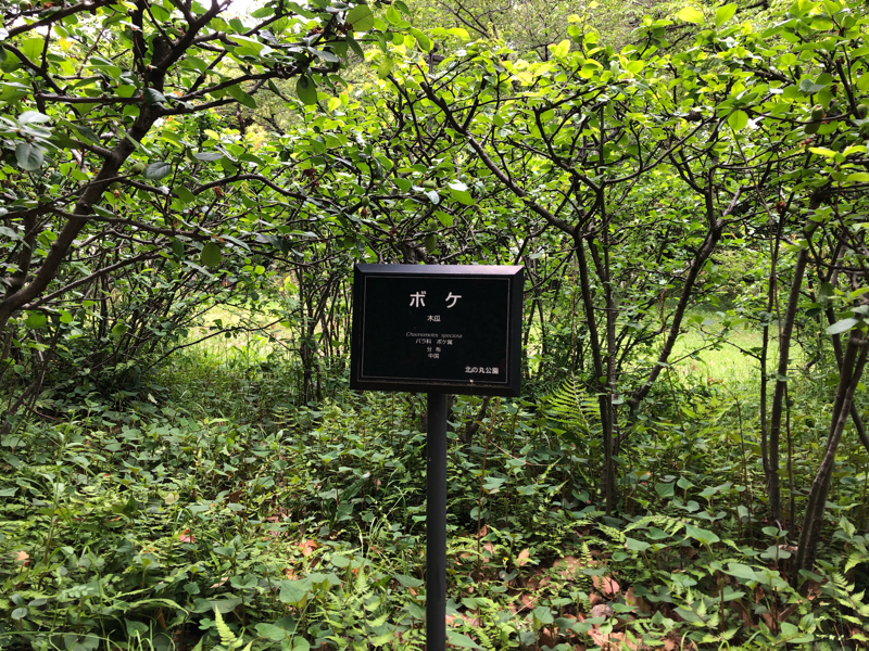 愛したソシャゲの死