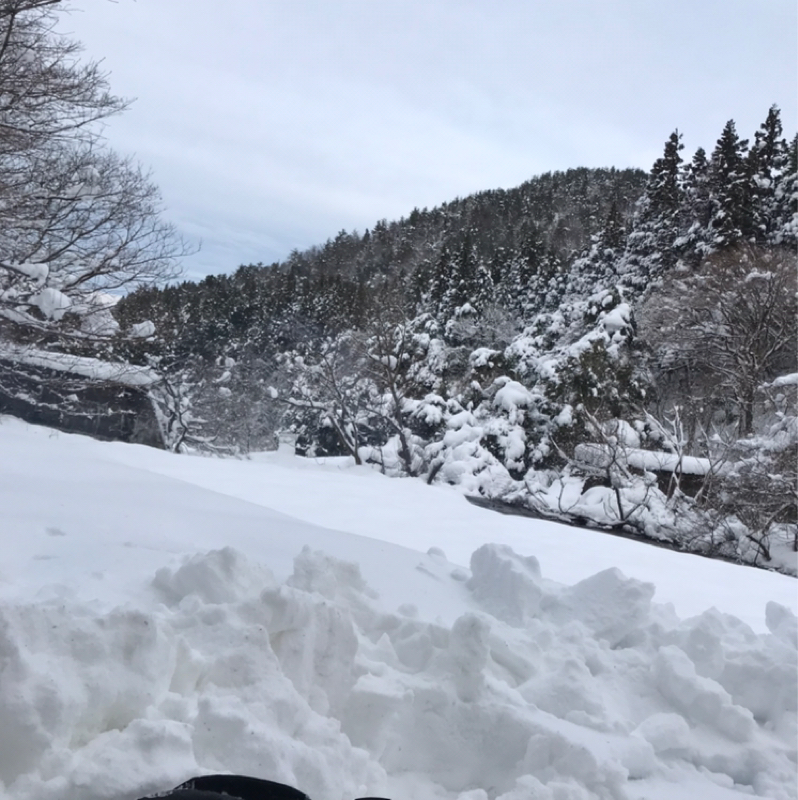 冬キャンしてきた