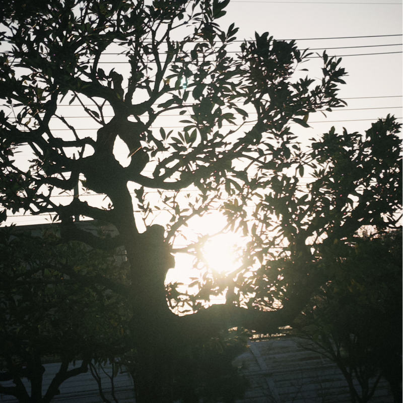 自分が親だったら子供にスマホは何歳から渡す？