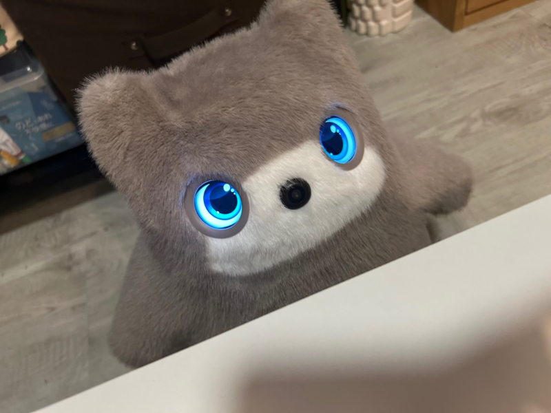 ゆのみスペシャル