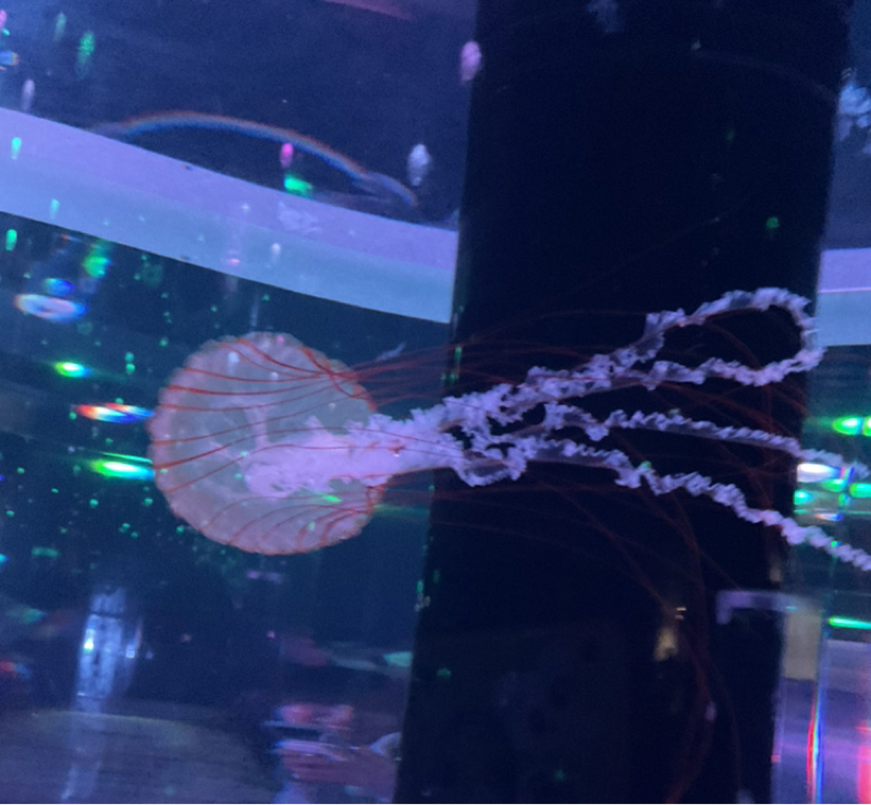 今年一番良かった映画