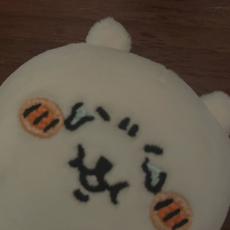 リノベに合ってないと言われたサゲェ⤵︎